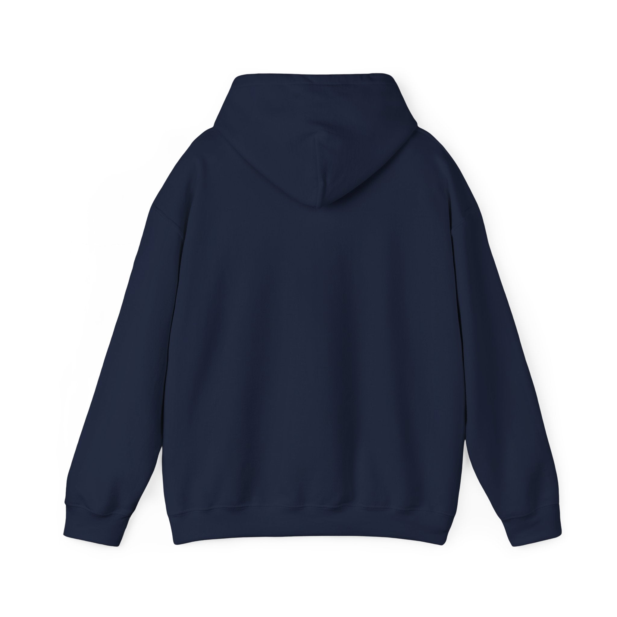 Unfriendly Hoodie — Minimalist Graphic Hooded Sweatshirt