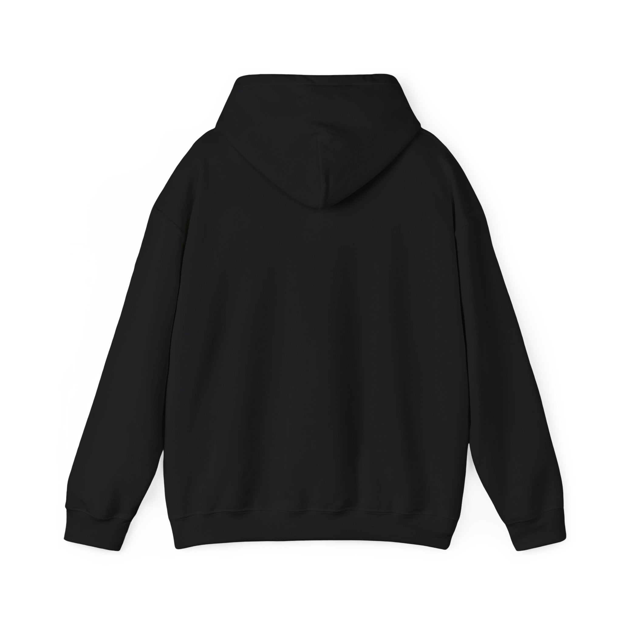 Cowpoke Hoodie— Cute Cowboy Magpie Playing Guitar Sweatshirt